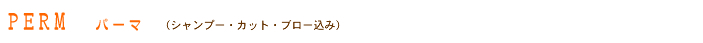 PERM パーマ