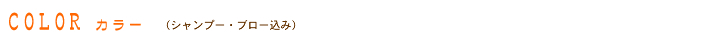 COLOR カラー